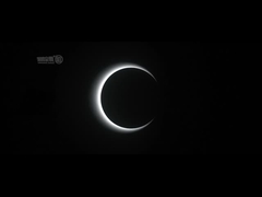 AC100-240V Speed ​​Gate Turnstile อาคารสำนักงาน ประตูกั้นความเร็วแสง